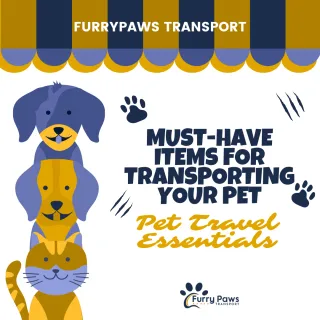 Must-Have Items for Transporting Your Pet 