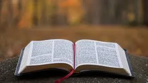 2025-6-1 - Ray Gonzalez - Christ Is Not Ashamed