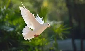 2025-9-14 - Devin Boss - The Holy Spirit Our Helper