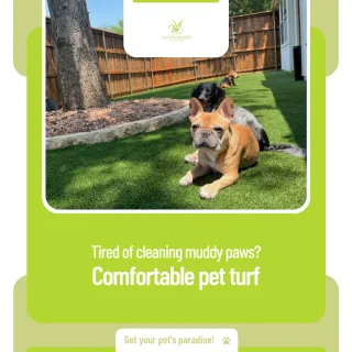 Why Turf for Pets is the Ultimate Solution for Animal Lovers
