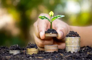 Whole Life Insurance vs. Term Life Insurance: Understanding the Differences and Benefits with Worley Family Protection