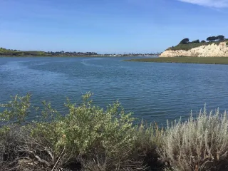 Discover Nature's Sanctuary at Upper Newport Bay Nature Preserve