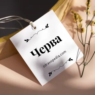 Чревно здраве