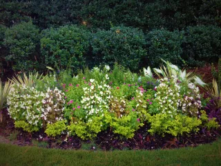 Discover Local Landscape Services Near Me for Stunning Lawns