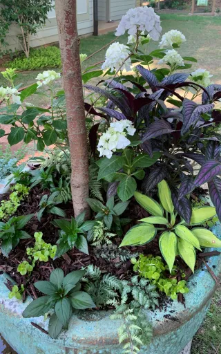 Modern Landscape Design for Homes and Businesses