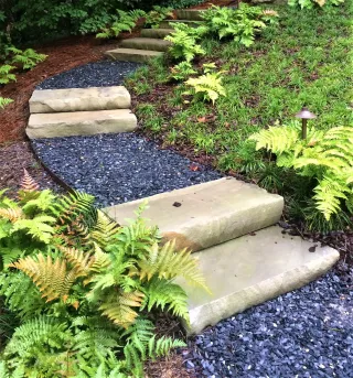 Quality Yard Care Services for a Lush Lawn