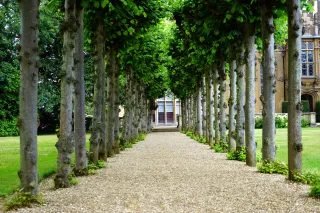Why Hiring Professional Landscape Services Near Me Can Transform Your Outdoor Space