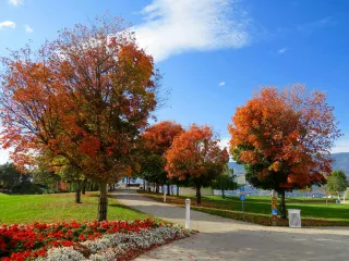 The Secret to a Stunning Landscape: Hiring the Right Landscape Services Near Me