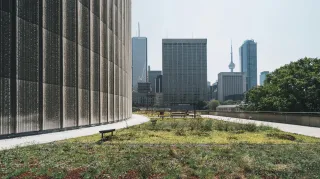 Top 7 Benefits of Hiring Commercial Landscaping Services Near Me in Atlanta