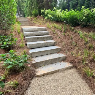 Premium Landscaping and Gardening Services for Every Space
