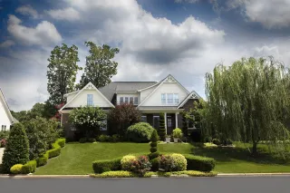 7 Summertime Lawn Care Suggestions for Moist Grass