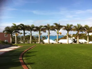 Bermuda Grass: Maintaining a Verdant, Thick Lawn