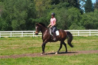 Horse Heart Rates and Training