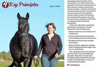 How to Keep You Horse Fit Without Riding