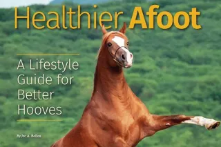 Healthier Afoot: A Lifestyle Guide for Better Hooves