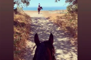 Hill Training for Horses