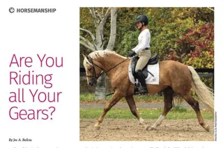 Are You Riding all Your Gears?