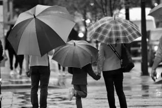 The Invisible Wounds of Childhood: Navigating Life with Emotionally Immature Parents