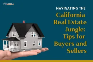 Navigating the California Real Estate Jungle: Tips for Buyers and Sellers