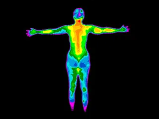 What Can Body Temperature Indicate About Your Health?