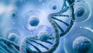 Collagen Types: Understanding the Different Forms of This Vital Protein