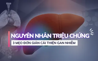 Gan nhiễm mỡ: từ nguyên nhân đến 3 mẹo tan mỡ không thuốc - Lê Công Hiệp