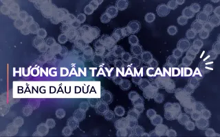 Trải nghiệm 3 ngày tẩy nấm candida & hướng dẫn chi tiết - Lê Công Hiệp