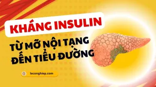 Kháng insulin: Từ béo phì đến mỡ nội tạng và tiểu đường