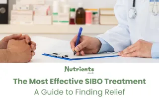 Best SIBO Treatment Options to Relieve Your Symptoms