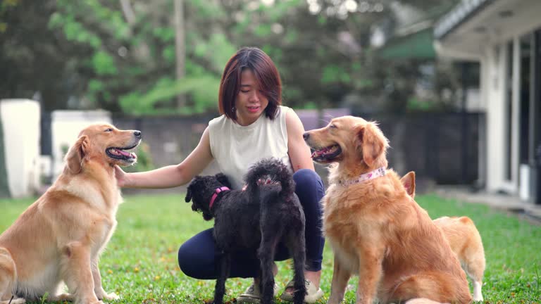 Dog Daycare and Dog Boarding Enrichment Guide