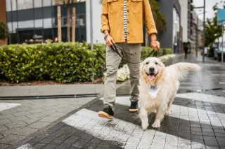 New Year’s Resolutions You Can Do With Your Pet