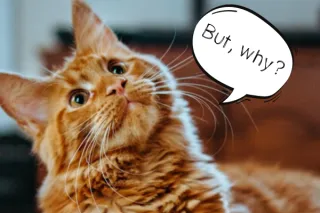 Girl, Why Do You Have TWO Blogs?