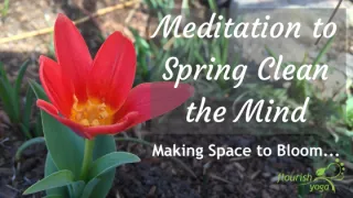 Meditation to Spring Clean the Mind