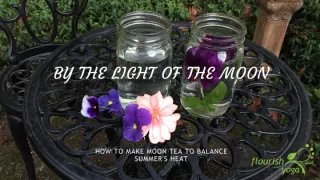 By the Light of the Moon – How to Make Moon Tea to Balance Summer’s Heat