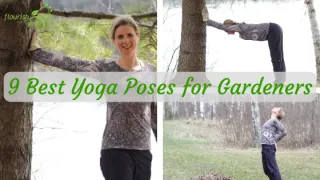 9 Best Yoga Poses for Gardeners