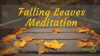 Falling Leaves Meditation