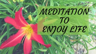Meditation to Enjoy Life