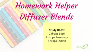 Homework Helper Diffuser Blends
