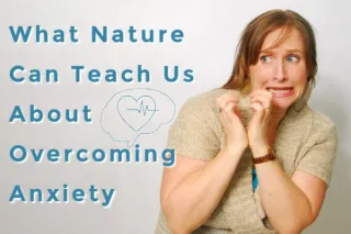 What Nature Can Teach Us About Overcoming Anxiety