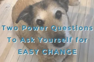 Making Simple, Easy Change - Questions to Ask Yourself