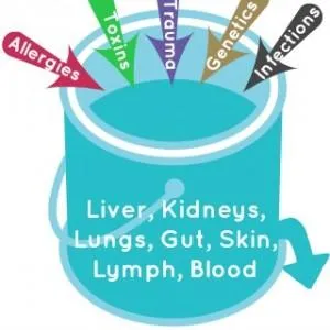 Why Your Body is like a Bucket