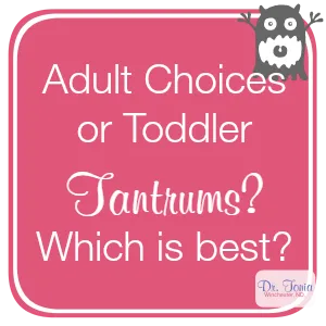 Why We Should Make Toddler Choices and Have Adult Tantrums.