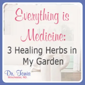 Everything is Medicine: 3 Healing Herbs in My Garden