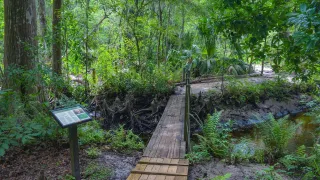🌳 Explore Jacksonville’s Parks and Nature Trails With a Rental Car – RevTek Rentals, Jacksonville, FL