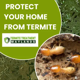 PROTECTING HOMES FROM TERMITES