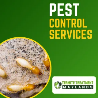 Who is Responsible for Termites in Your Home?