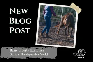 Basic Liberty Exercises Series. Hindquarter Yield