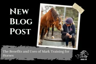 The Benefits and Uses of Mark Training for Horses