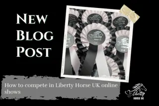 How to Compete in Liberty Horse UK Online Horse Shows