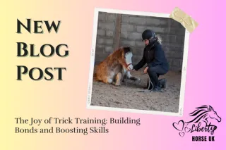 The Joy of Trick Training: Building Bonds and Boosting Skills